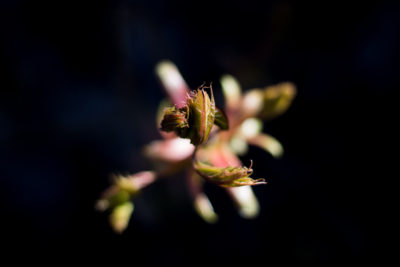 Pictures from around my neighbourhood, Frederiksberg, DK
